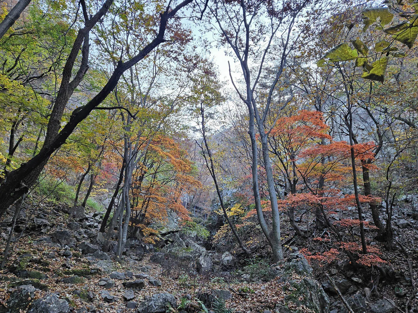 선녀탕 입구 가는 구간