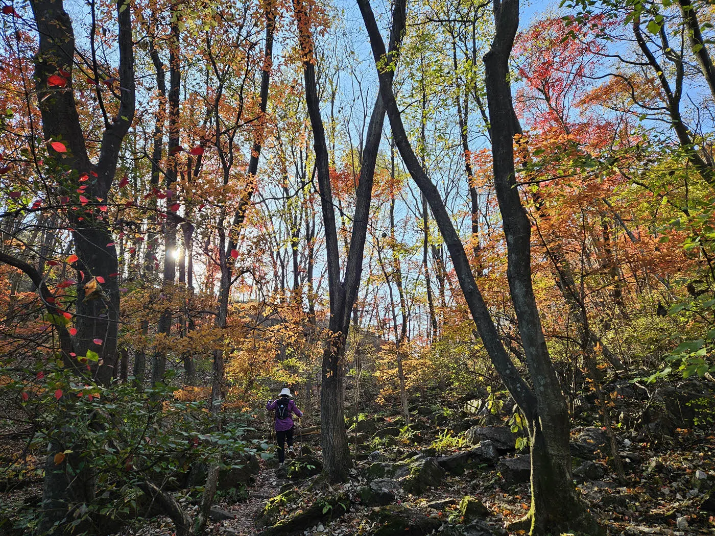 소요산 주능선의 단풍