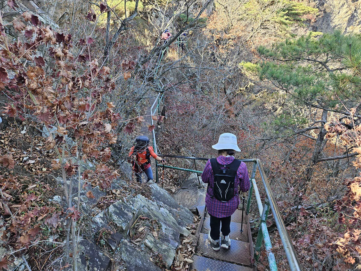 나한대에서 의상대 가는 길