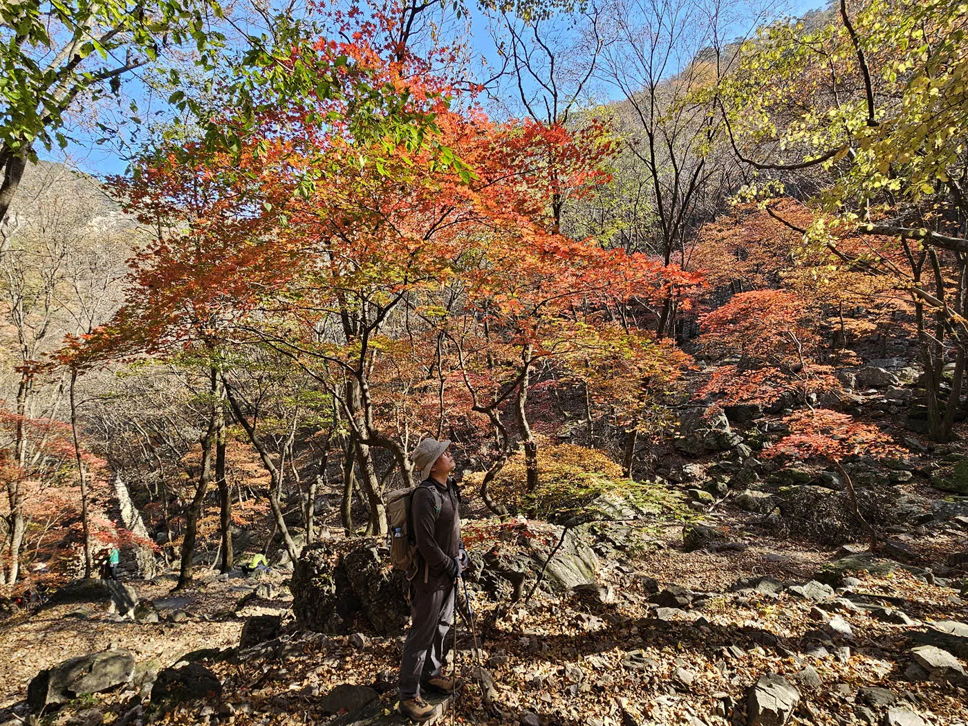 공주봉에서 구절터 방면 하산길
