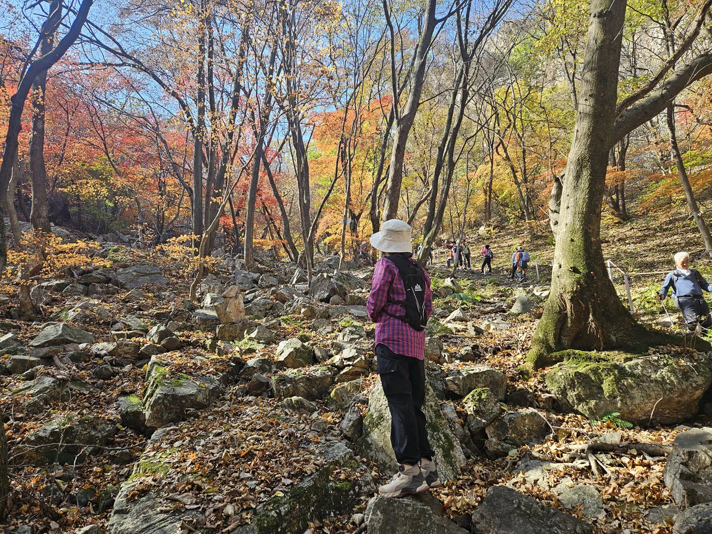 자재암에서 공주봉 방면의단풍 