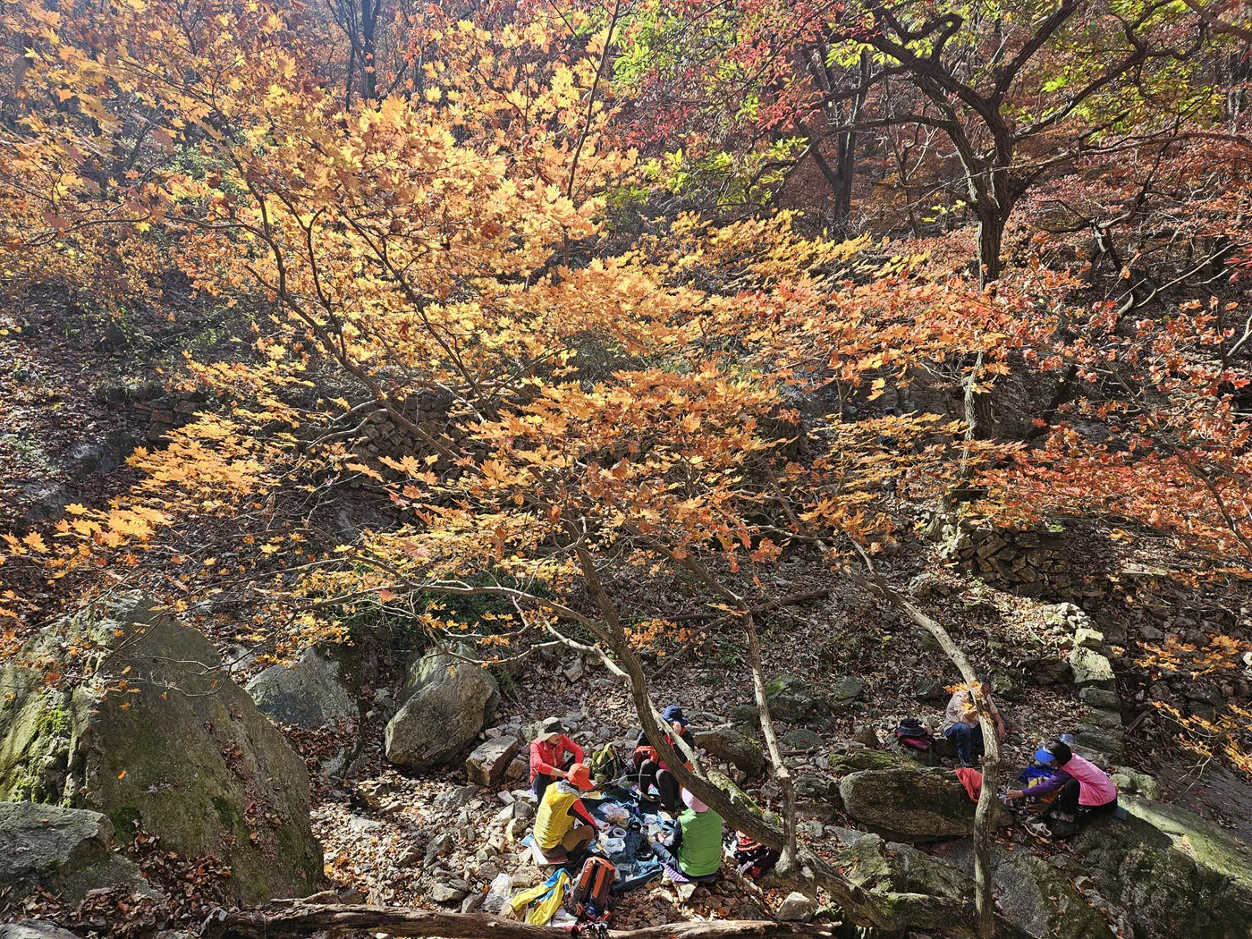 소요산 단풍놀이