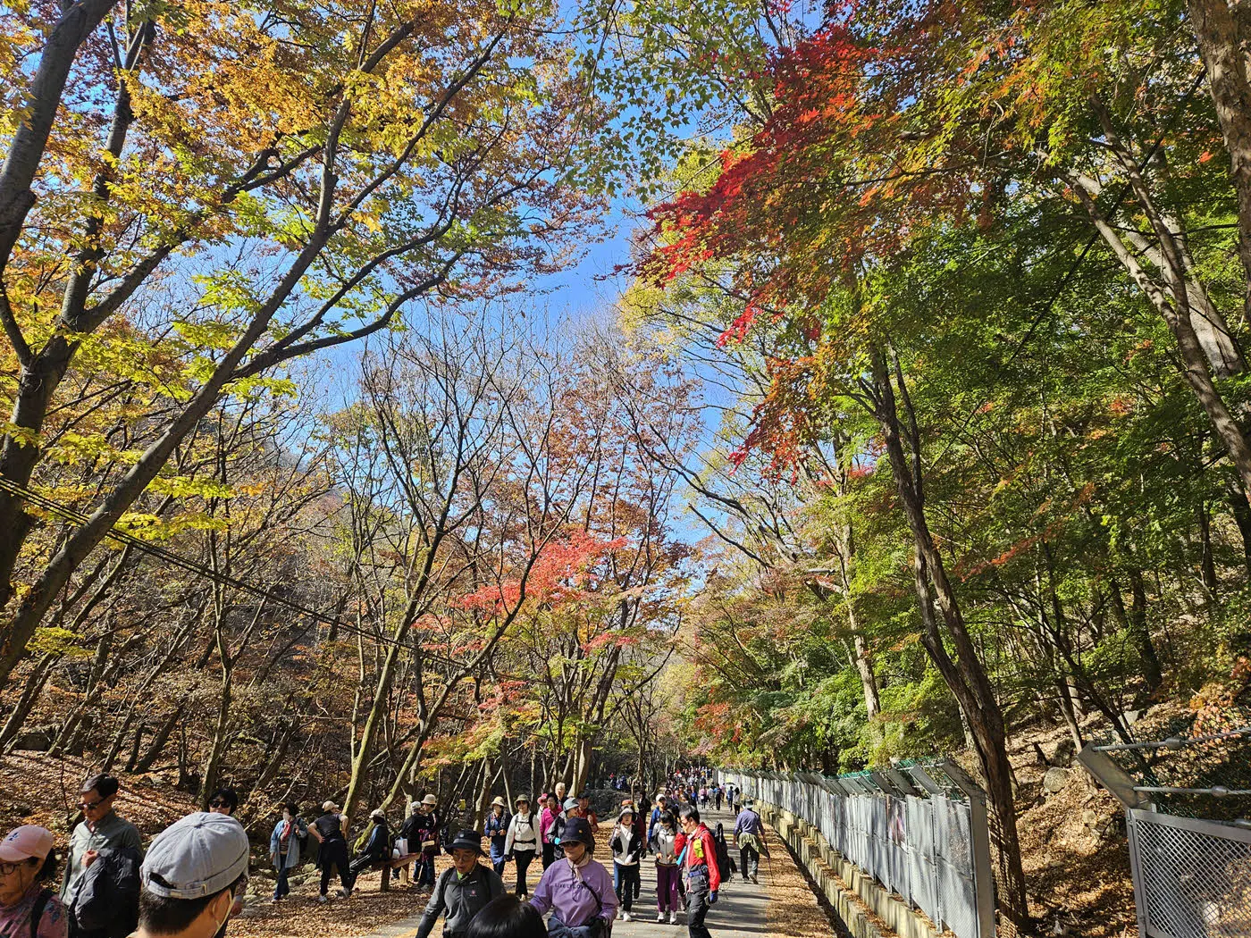 소요산 단풍을 즐기려는 인파