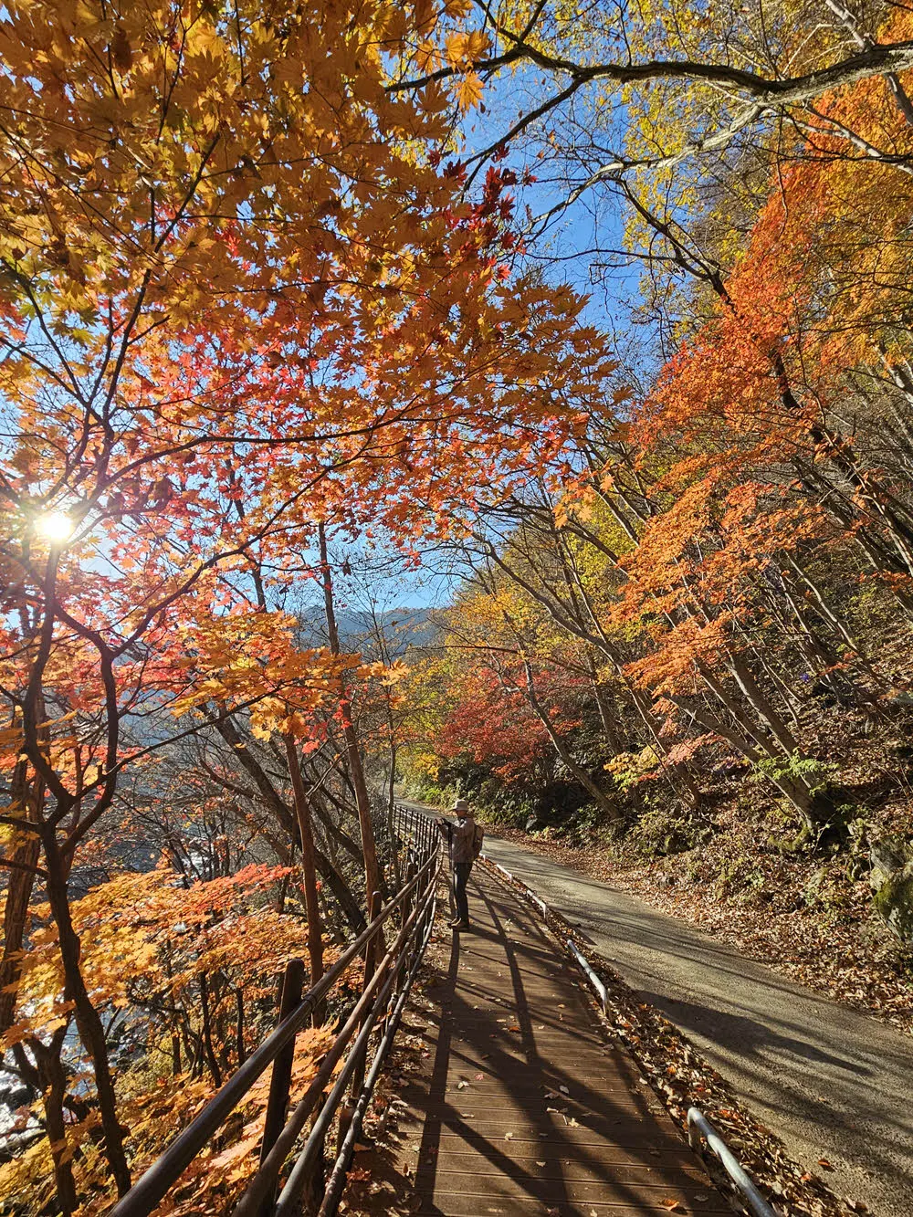 지리산 뱀사골 가는 길의 단풍