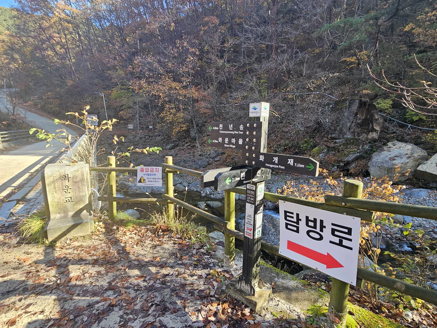 와운마을 천년송 가는 길