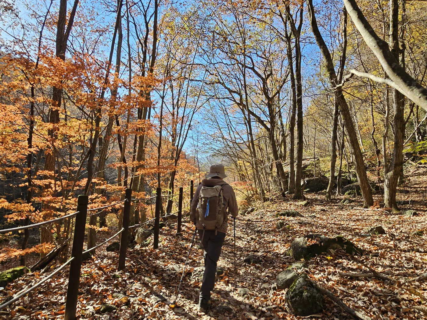 지리산 뱀사골 계곡 하이킹 코스