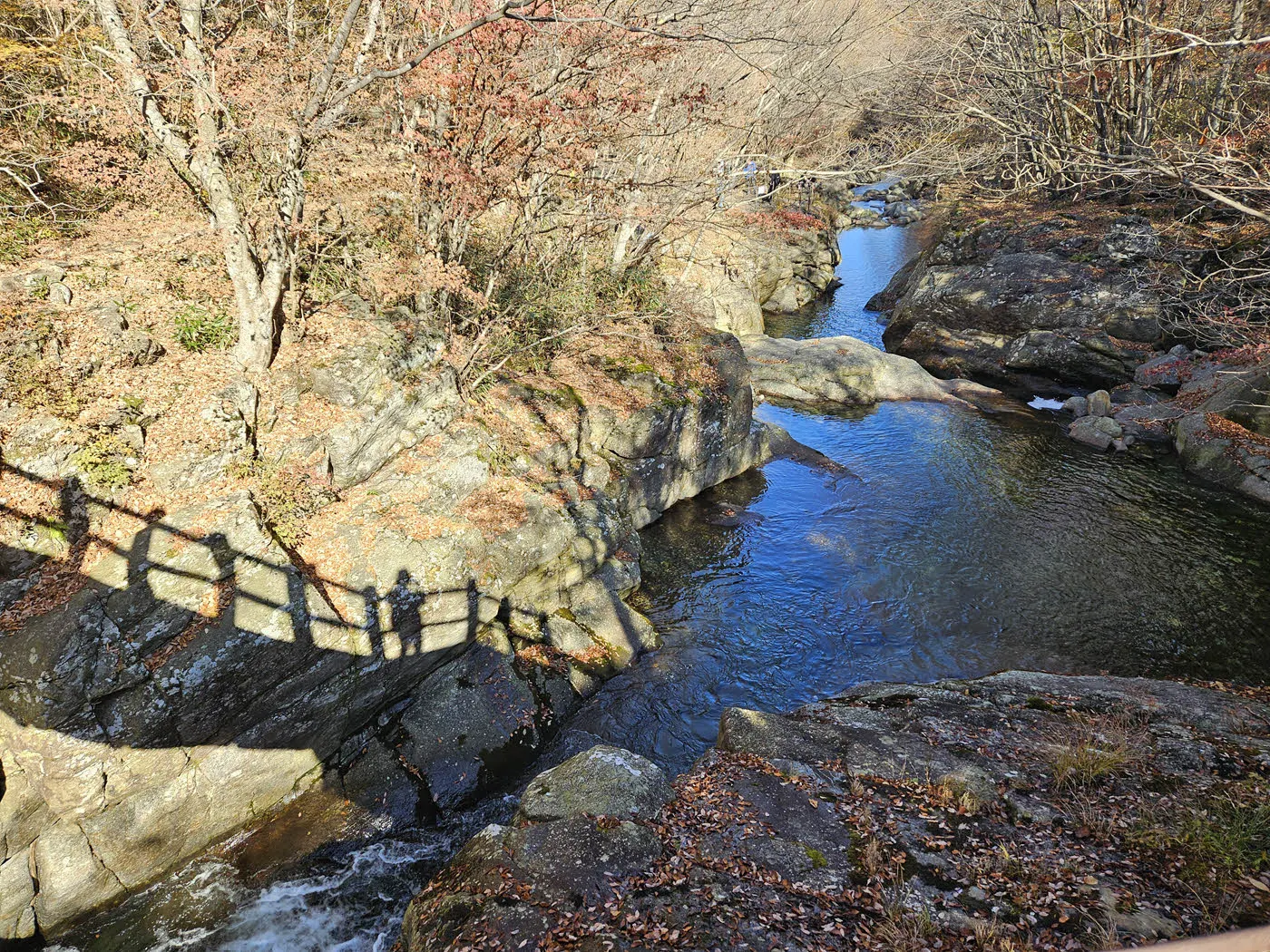 지리산 뱀사골의 병소