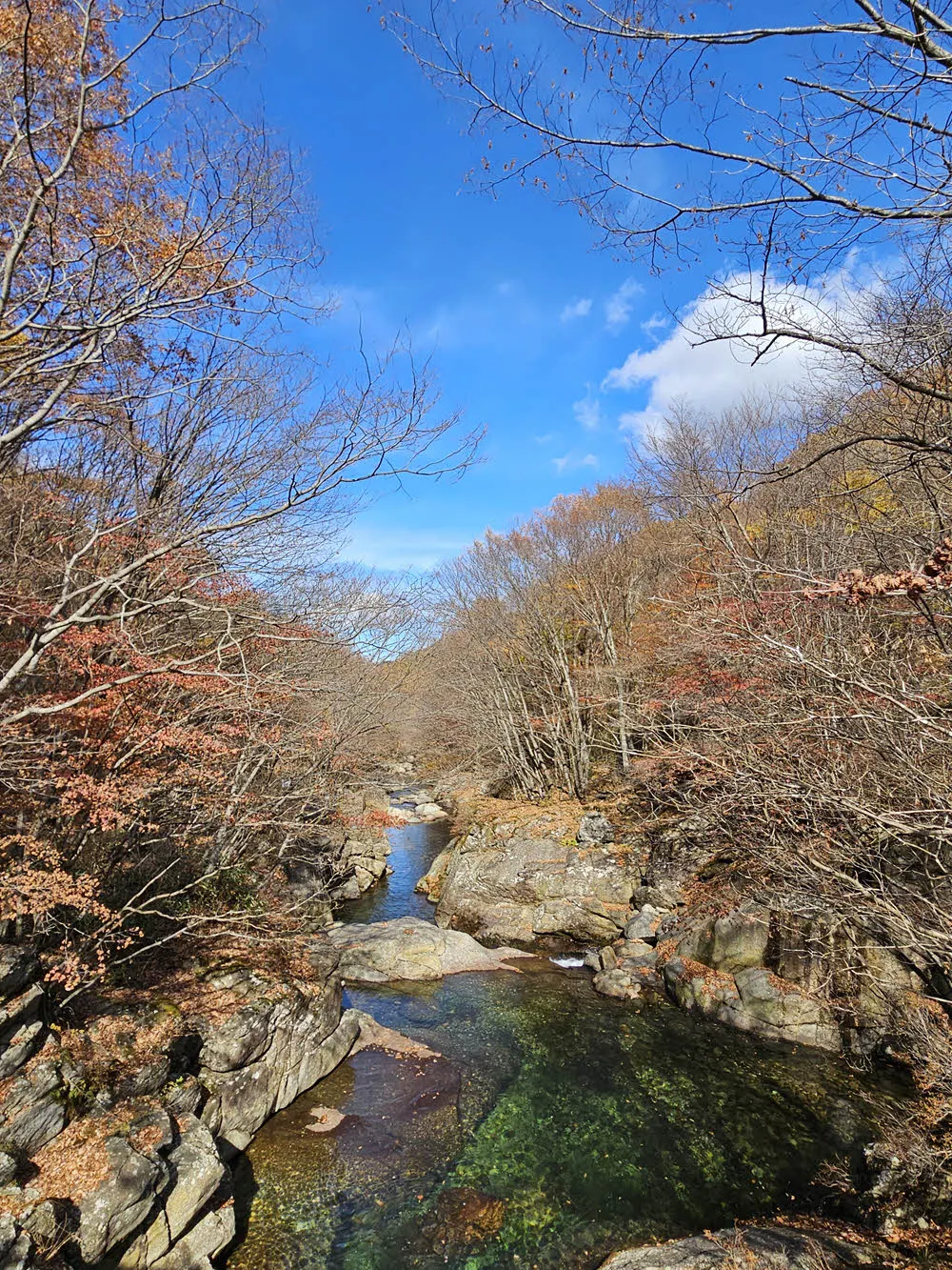 지리산 뱀사골 계곡의 가을 단풍