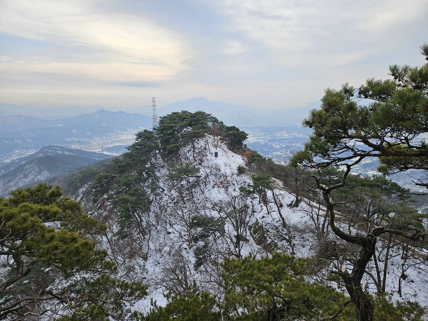 양주시청 방면 하산길