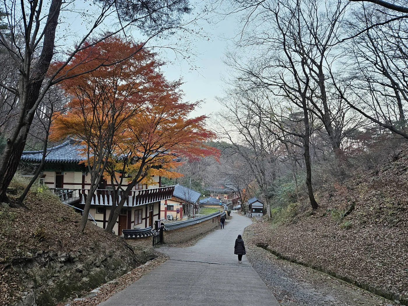 골굴사 내려가는 길