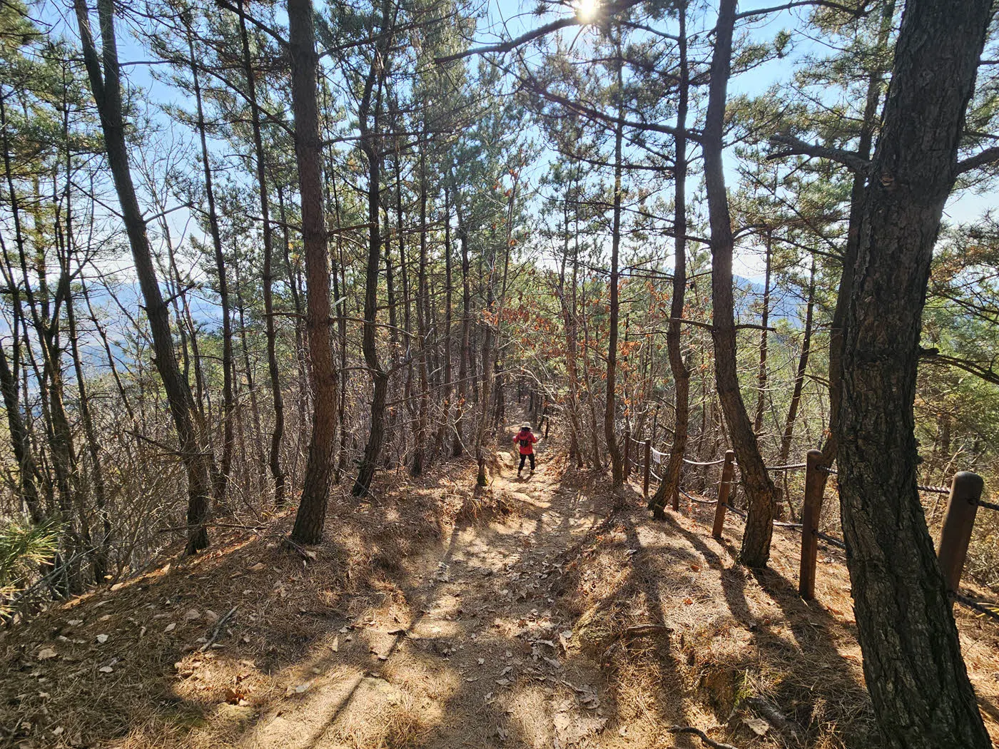 금오봉에서 용장골 방면으로 하산하는 길