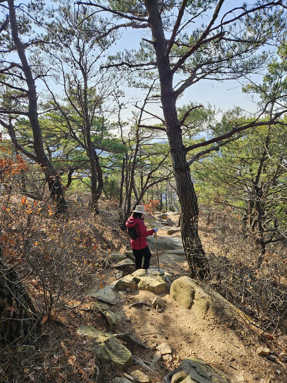 임도에서 다시 등산로로 간다.