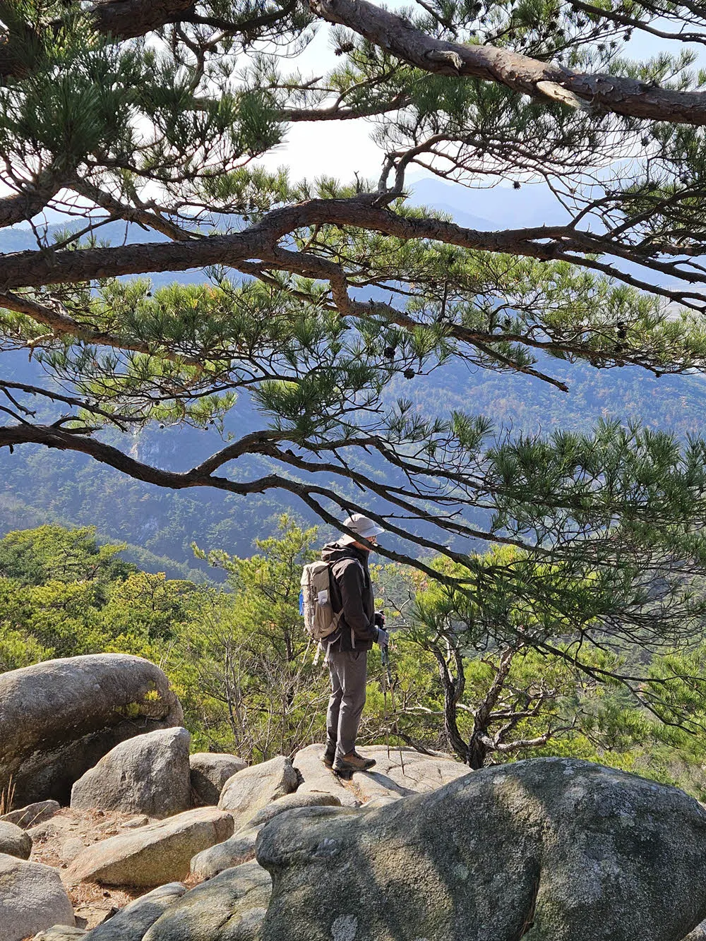 용장사지로 하산하는 길의 조망포인트