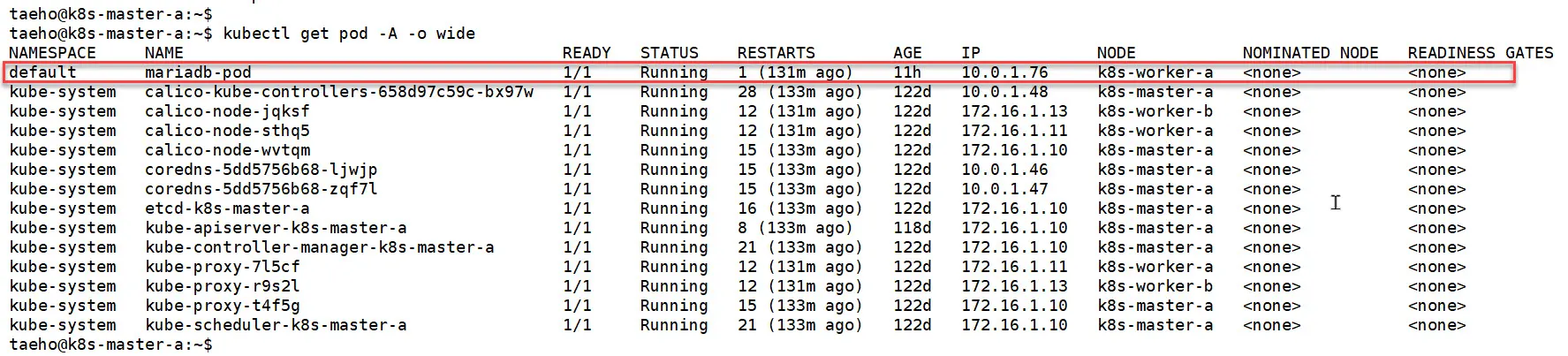 kubectl get pods 명령으로 MariaDB Pod 확인