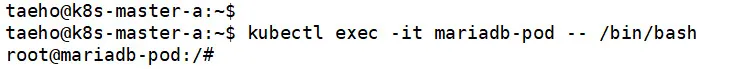 mariadb의 pod에 쉘 접속