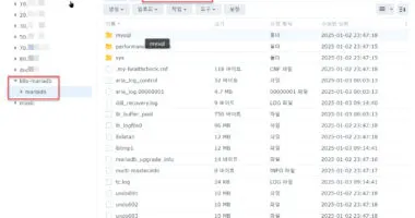 Synology NAS의 공유폴더에 생성된 MariaDB의 DB