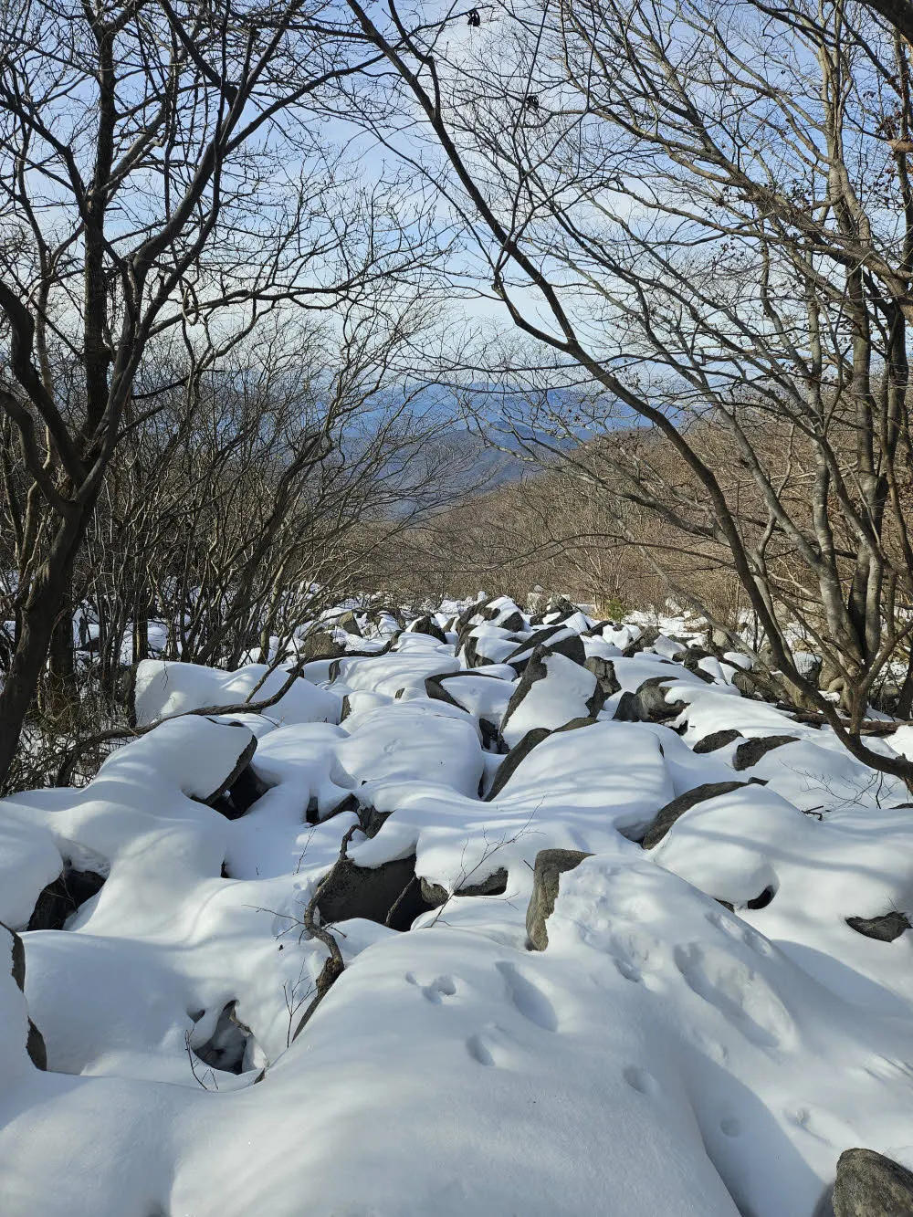 너덜길의 몽글몽글 쌓인 눈