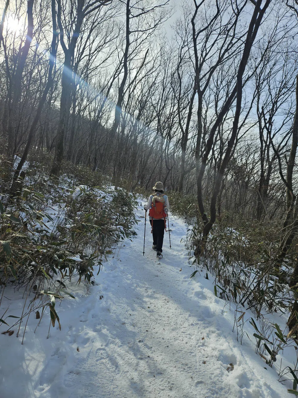 눈 쌓인 무등산 등산로