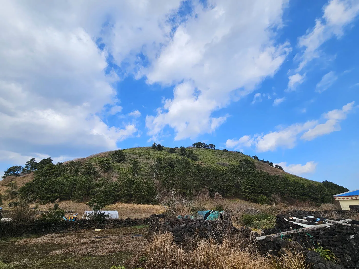비양봉 산책로에서 바라본 비양봉