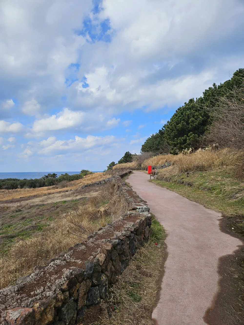 비양봉 산책로를 따라 비양봉 입구로 간다.
