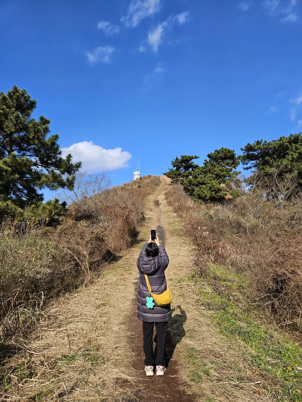 비양봉 등대를 사진에 담는다