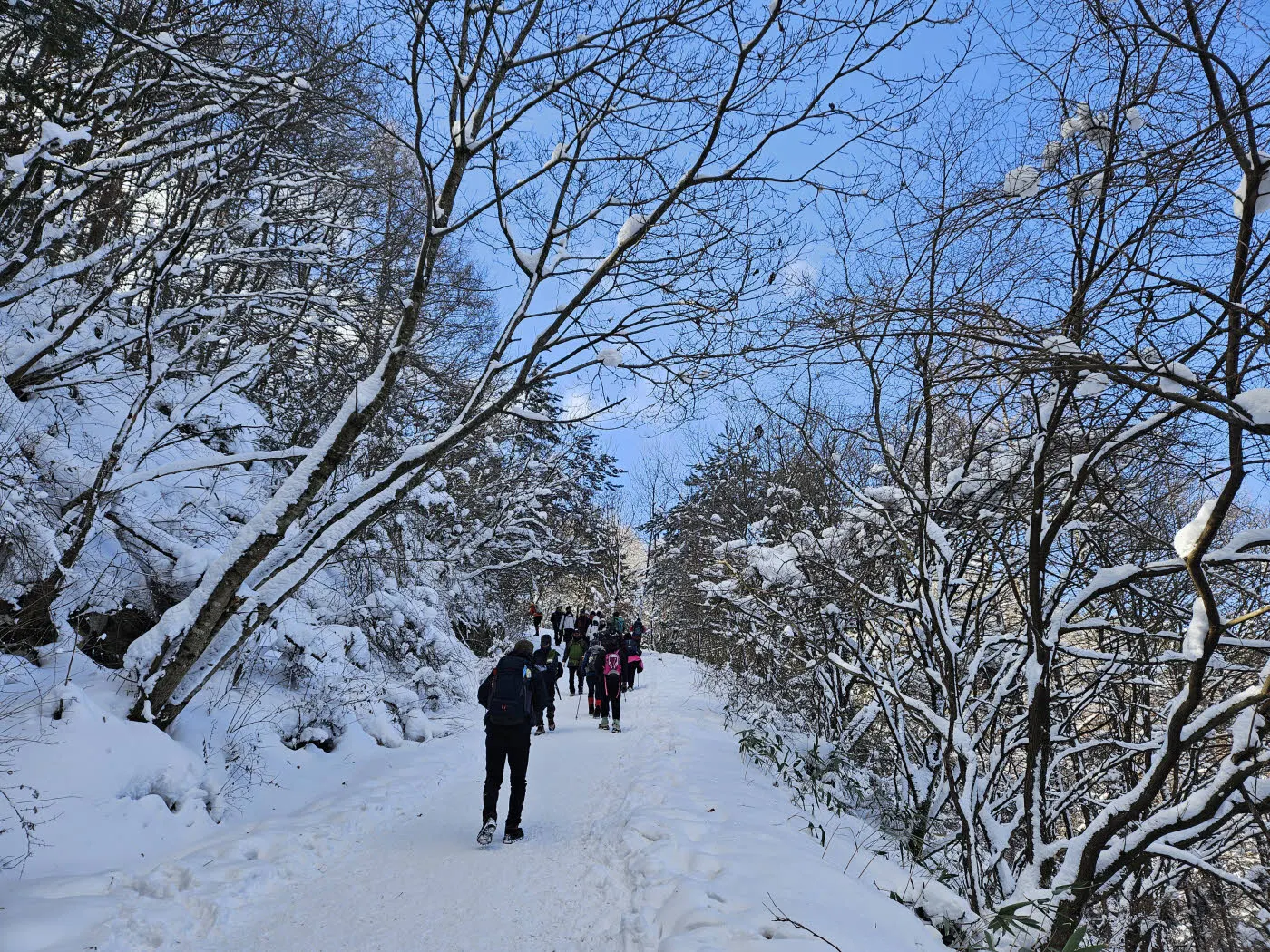 2번 쉼터에서 3번 쉼터 가는 구간의 눈꽃