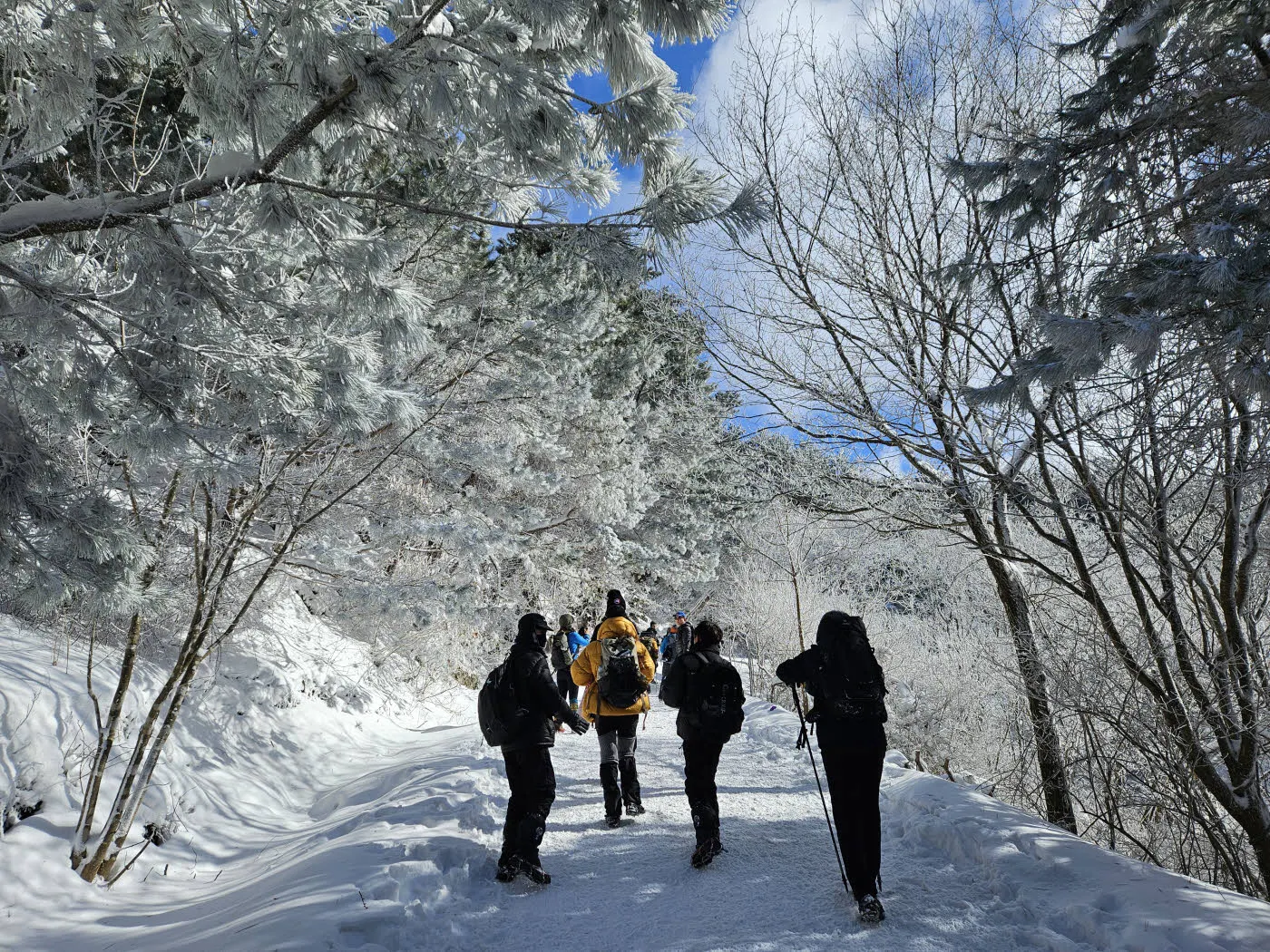 3번 쉼터를 지나 4번 쉼터로 가는 구간의 눈꽃과 상고대