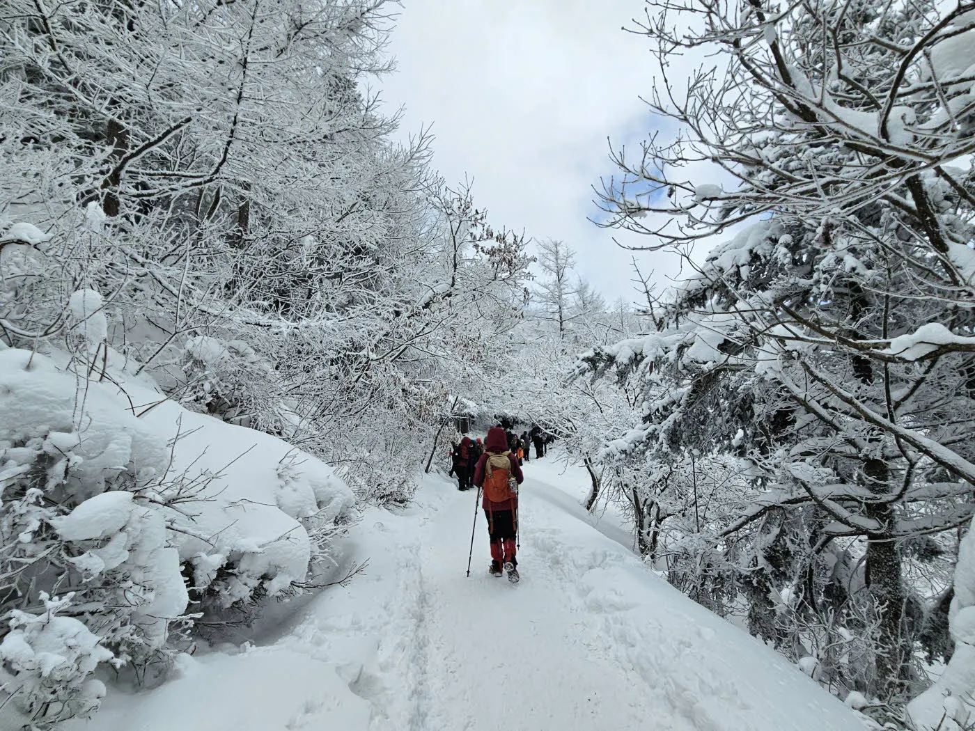 바래봉 정상가는 길