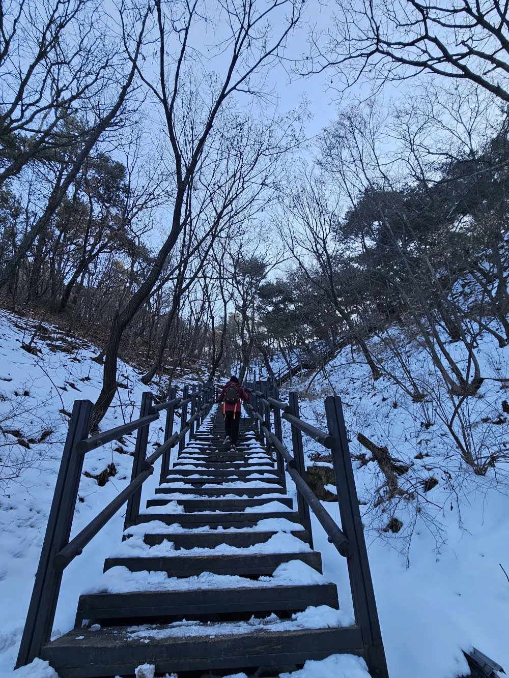 주능선에 오르는 마지막 구간은 계단이다