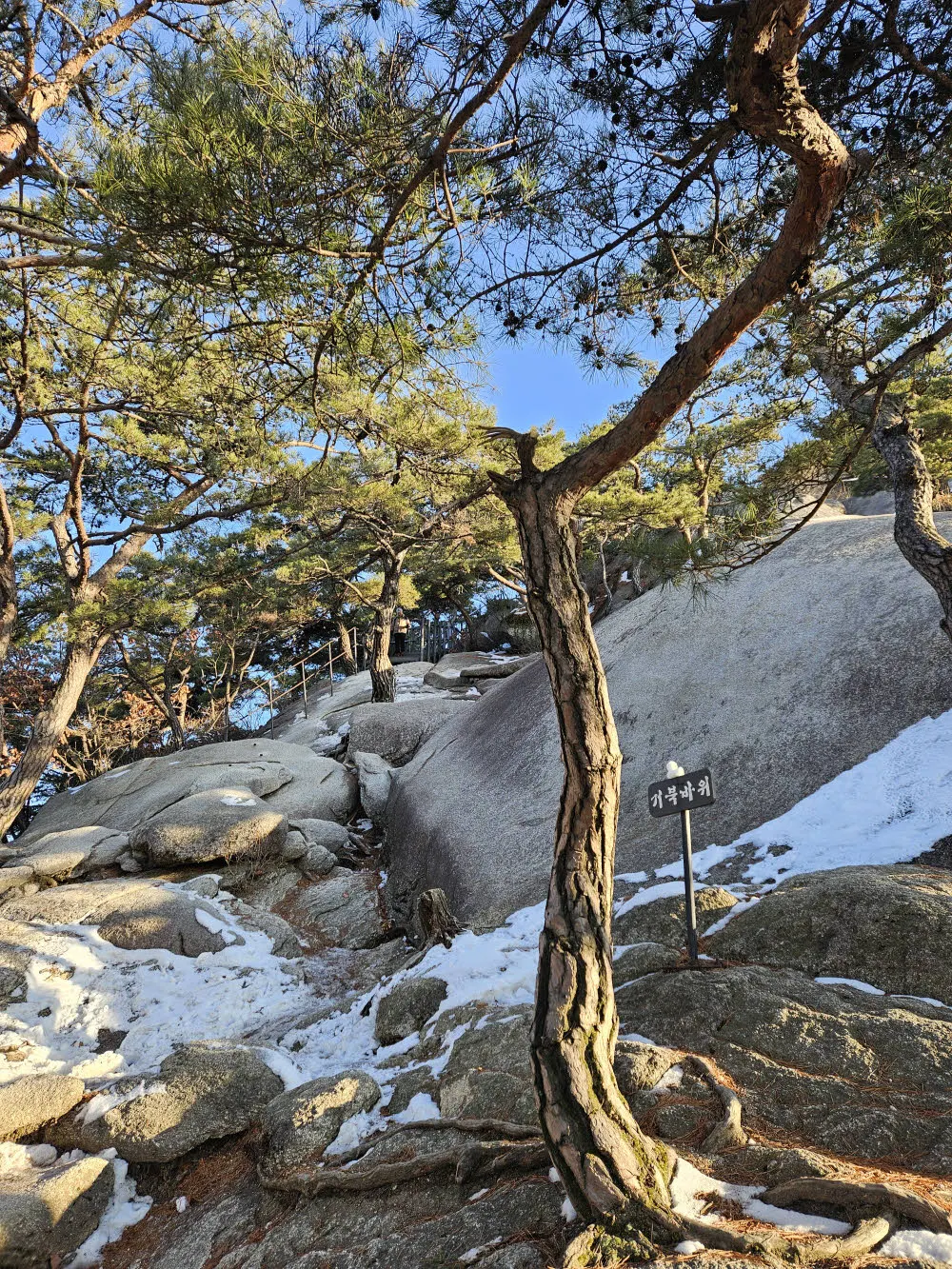 거북산장 옆의 진짜 거북바위