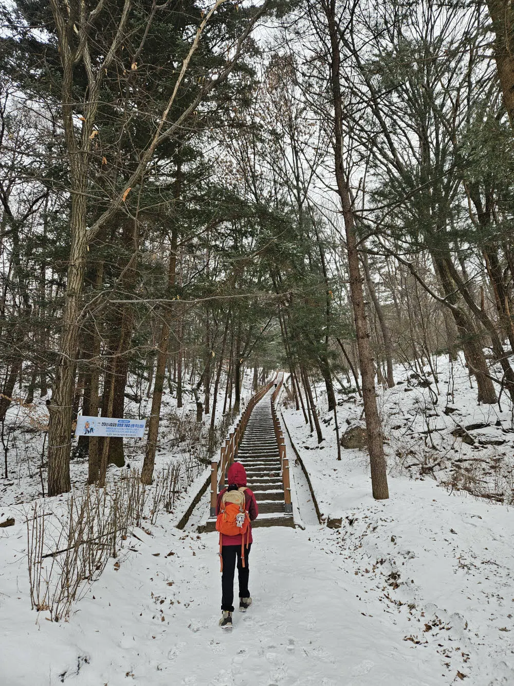 숲으로 둘러 쌓인 계단