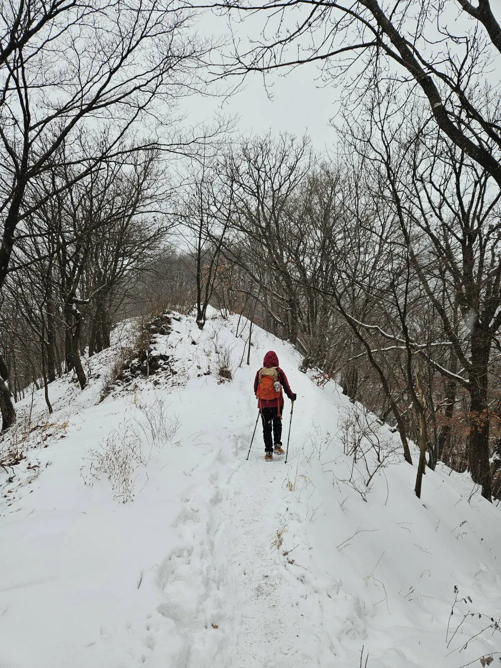 천마산 능선길 눈꽃 트레킹