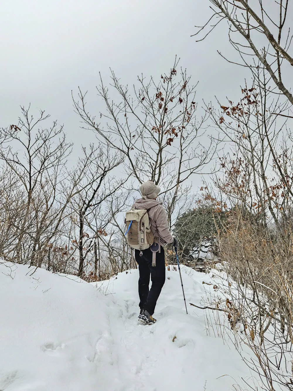 뾰족봉 지나는 중