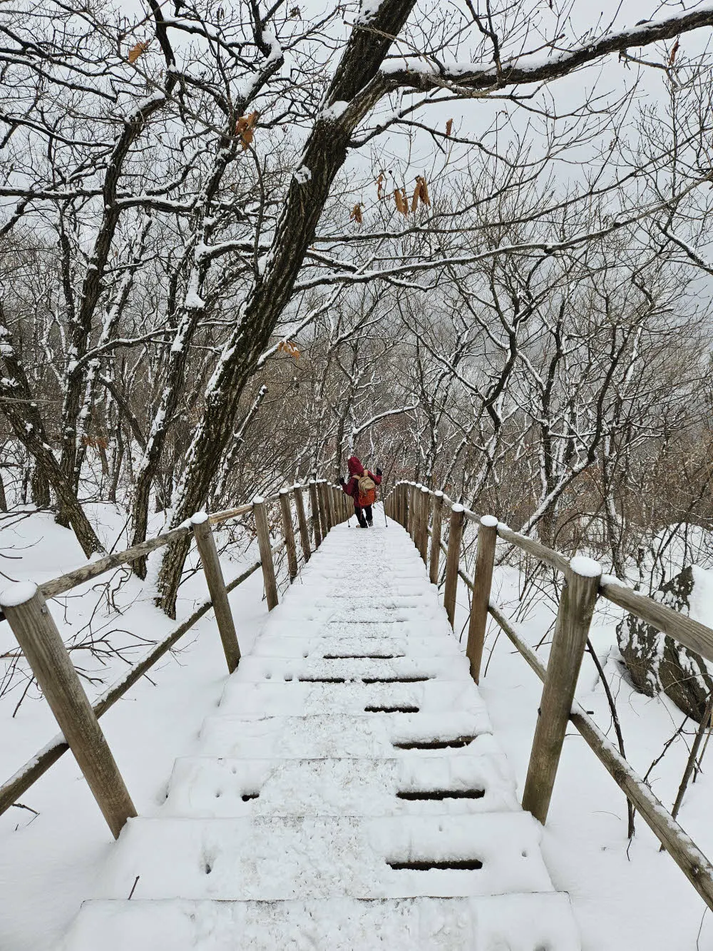 호평동 수진사 방면 하산길