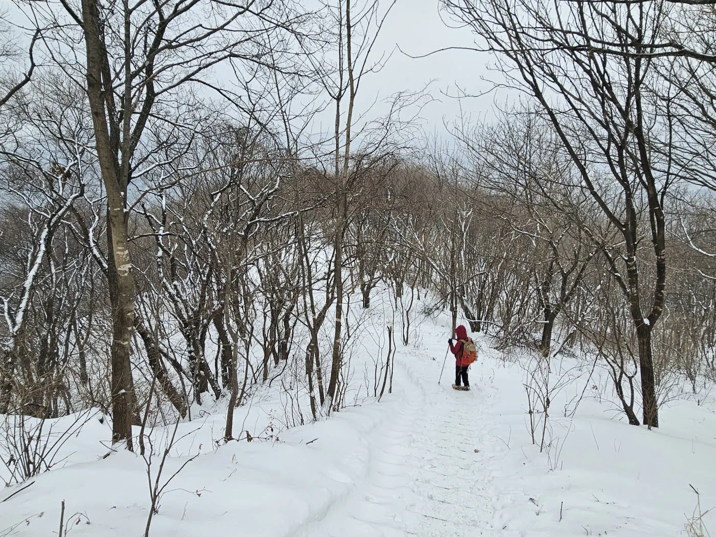 호평동 수진사 방면 등산로
