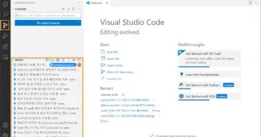 VSCode에서 리포지토리가 있는 디렉토리를 열어 Source Control을 선택