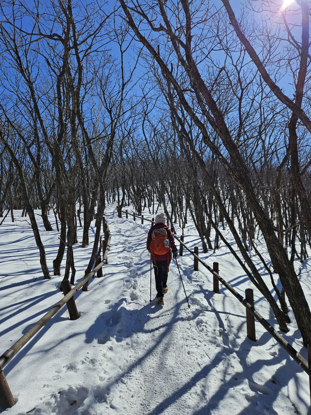 점점 시야가 파랗게 변한다
