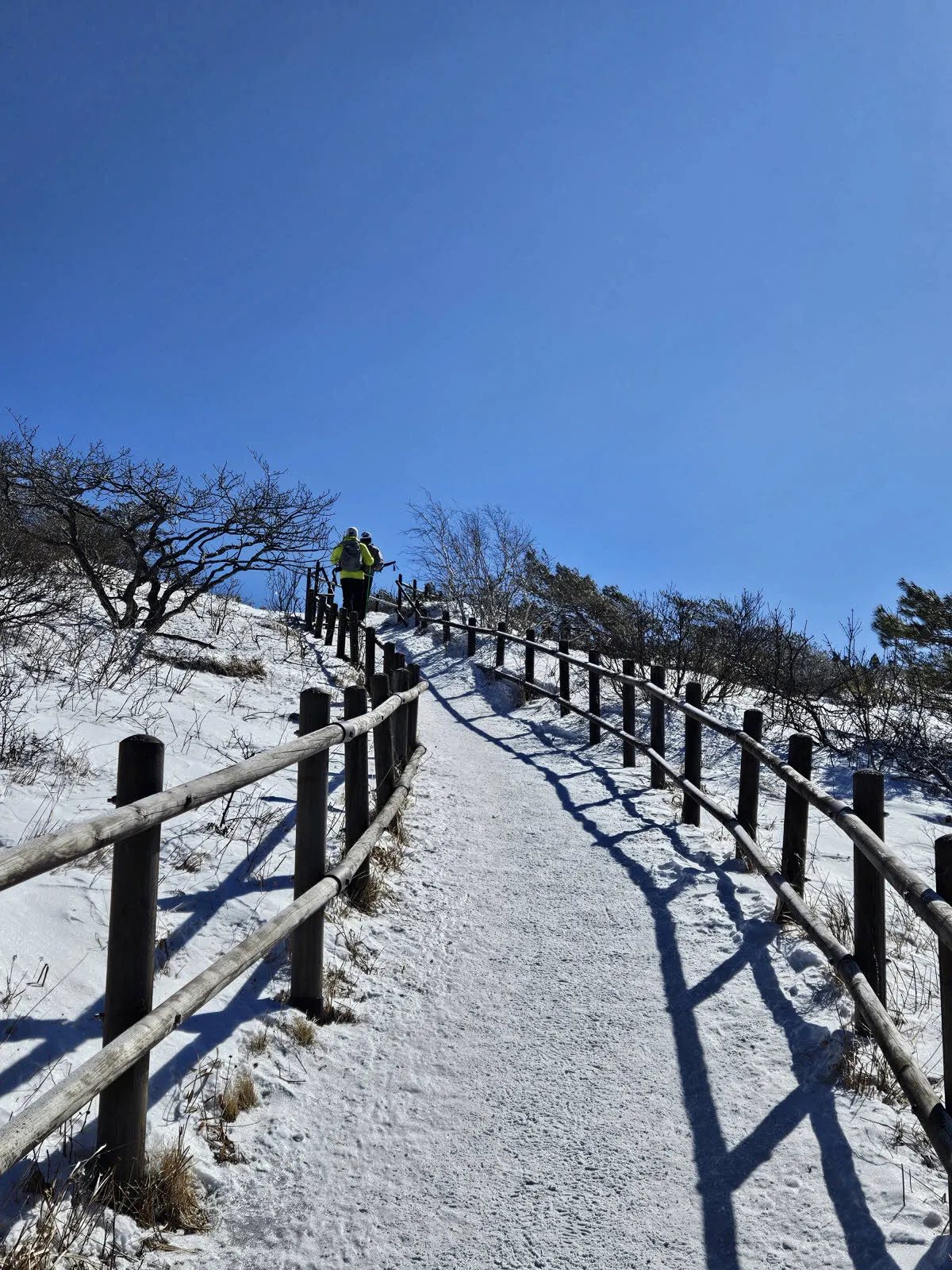 소백산 고위평탄면에 들어선다