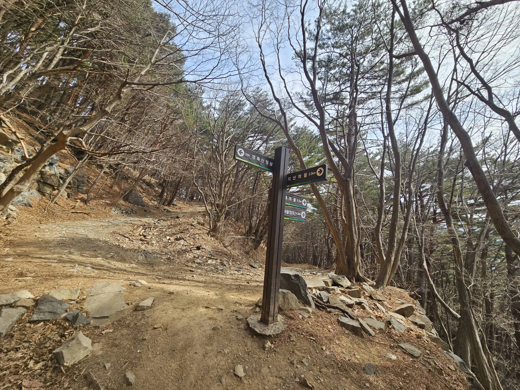 중간에 임도를 만난다