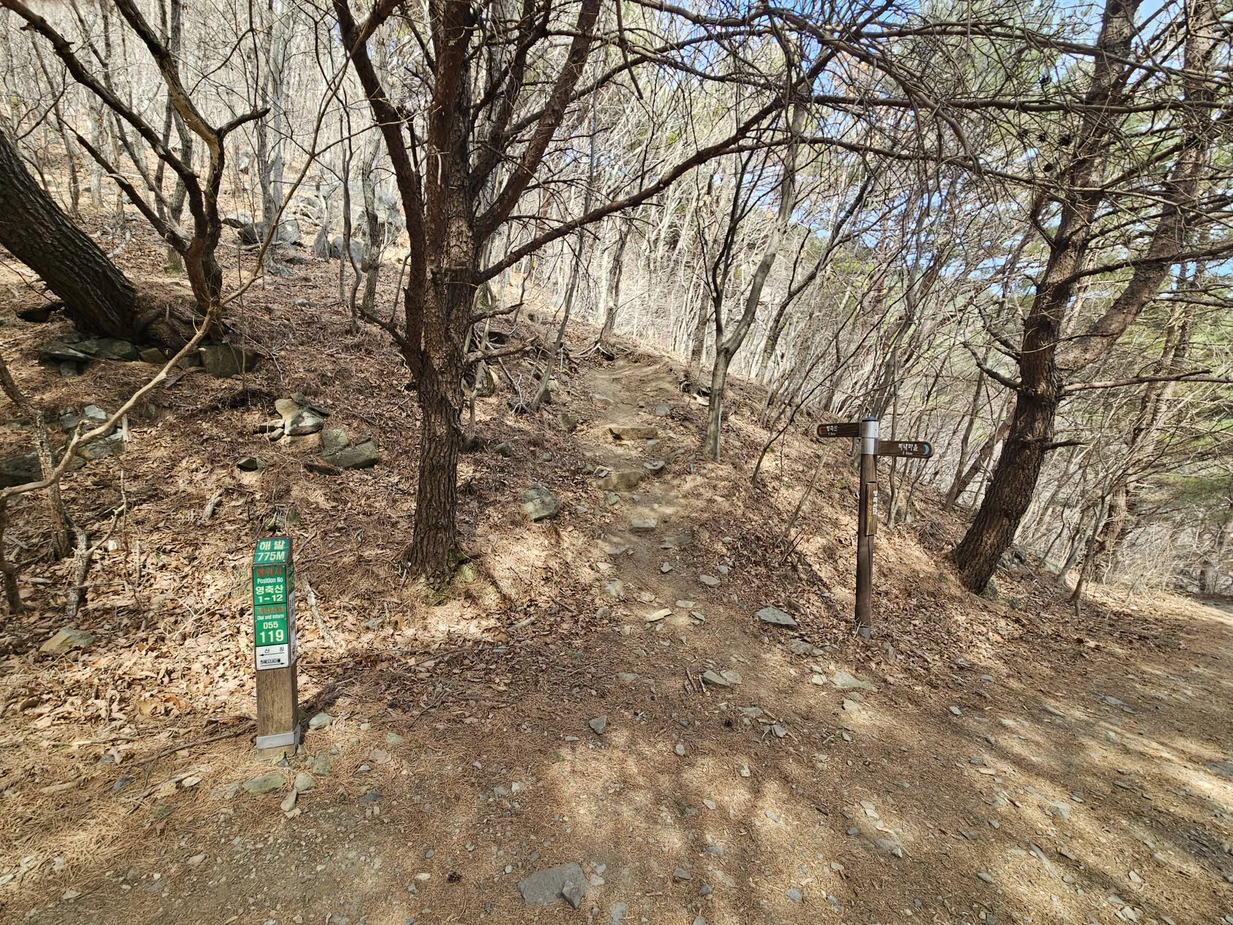 임도의 중간을 관통하는 지름길