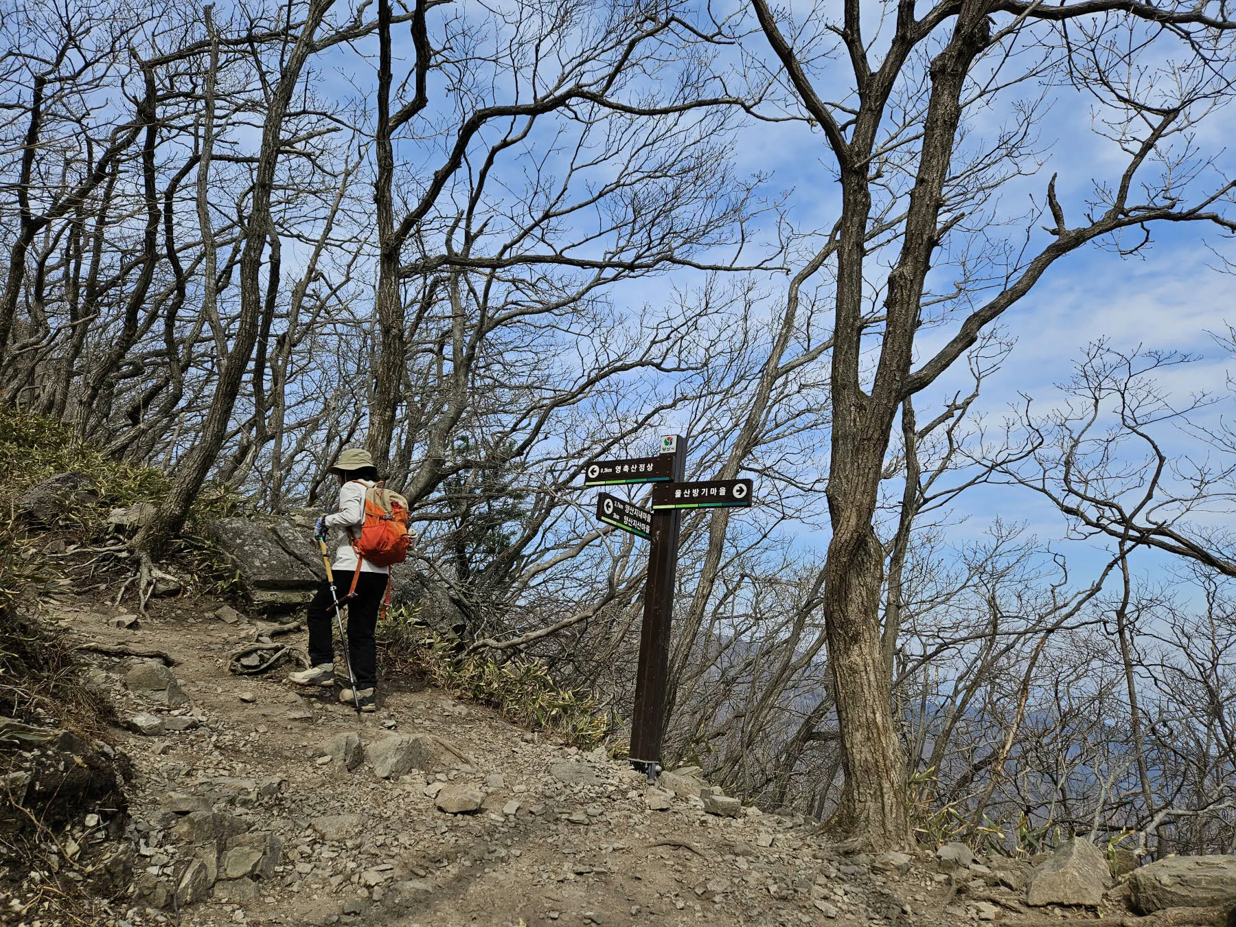 영축산 정상 300m 전