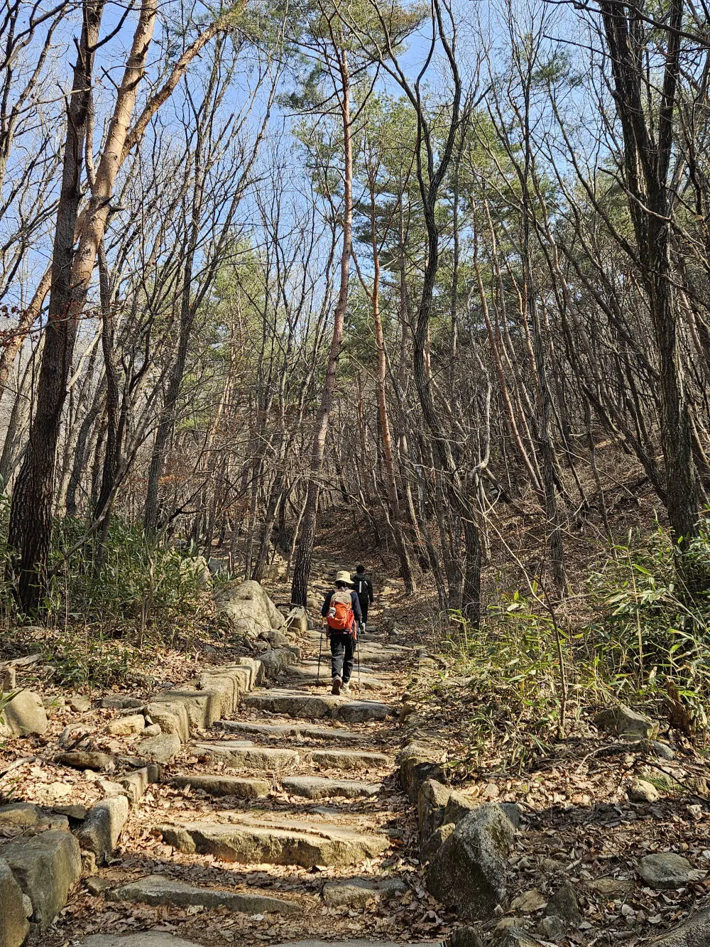 월악산 영봉 덕주사 코스 초입의 완만한 등산로 