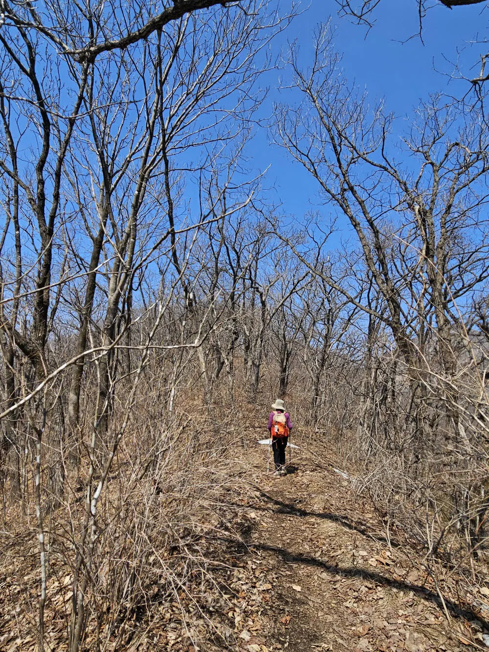 마애봉에서 송계삼거리 가는 능선