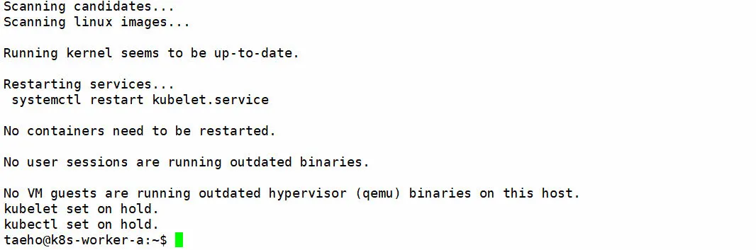 kubelet 업그레이드 완료