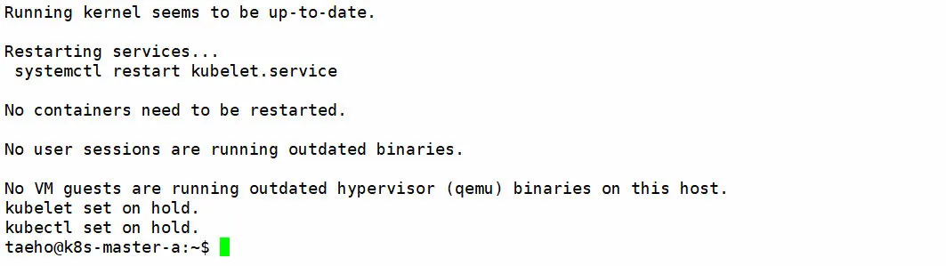 Kubelete 업그레이드 완료