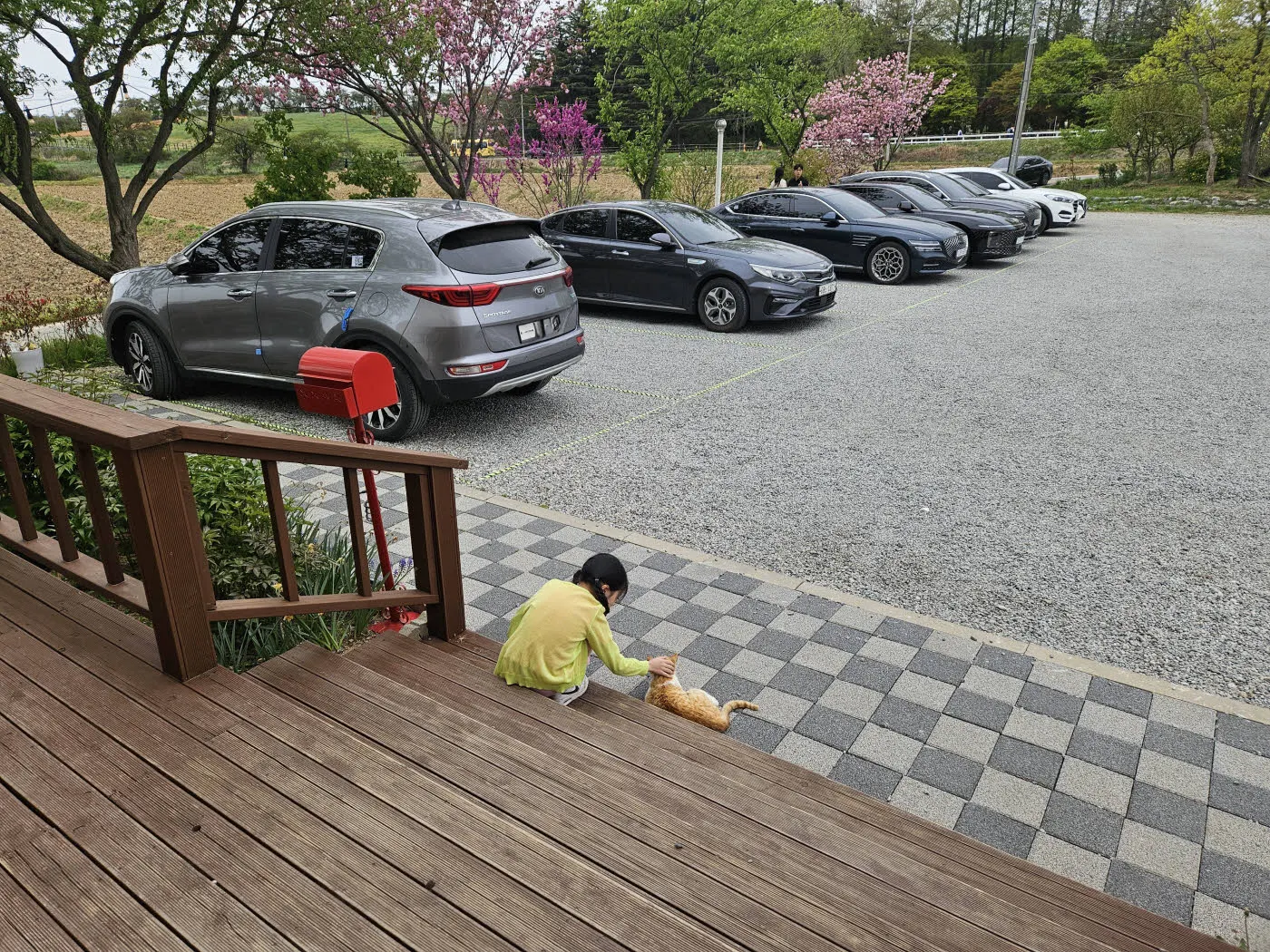 고양이에 빠진 소녀