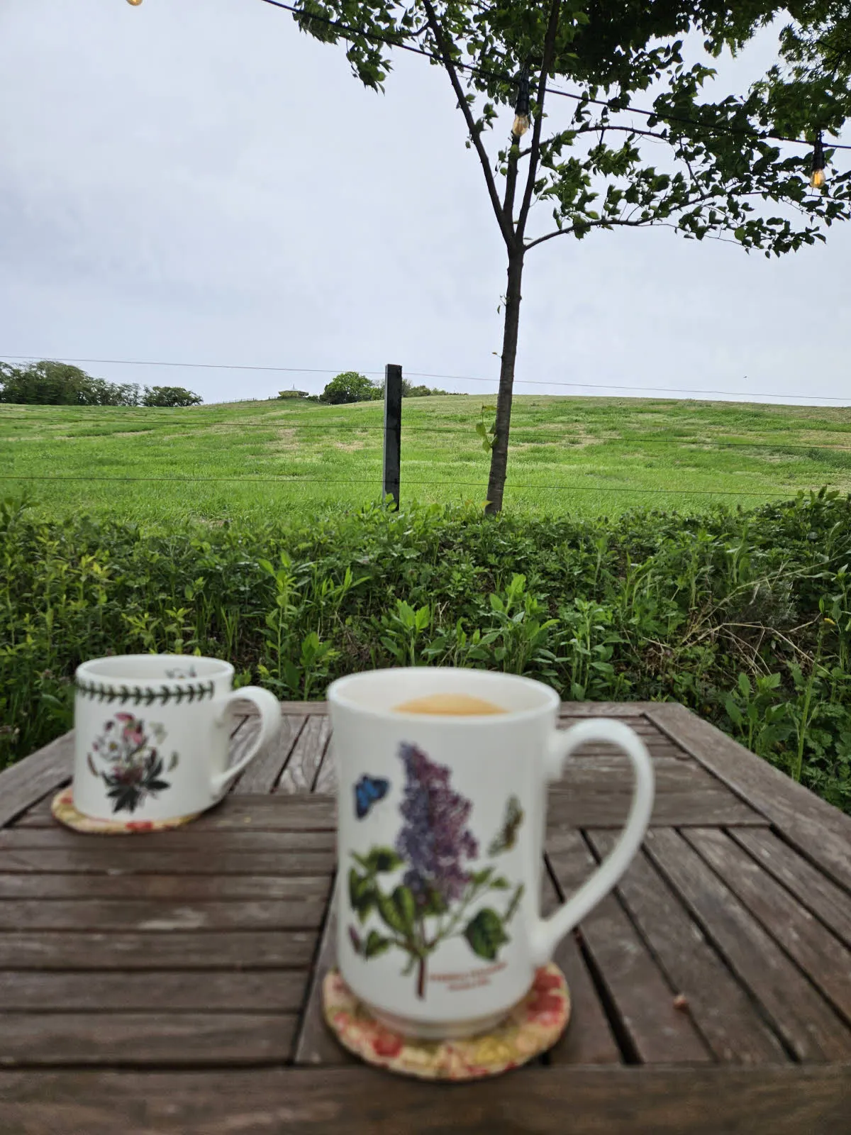 카페 흰 당나귀 야외 테이블에서 바라본 목장