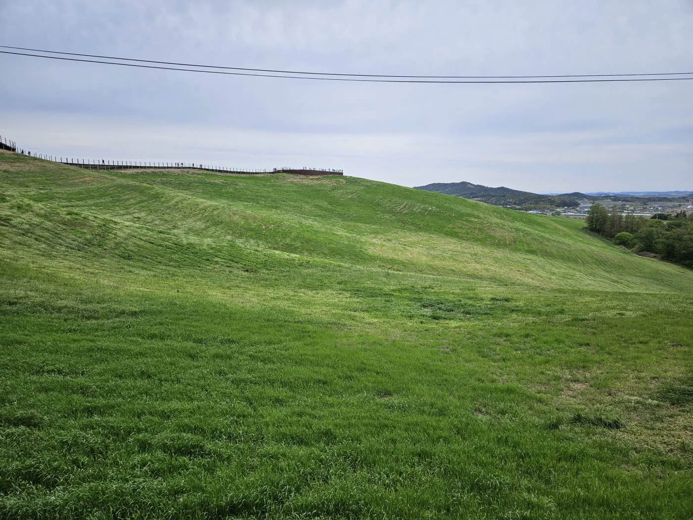 서산 한우목장 웰빙 산책로 - 주차장 반대편 하행길