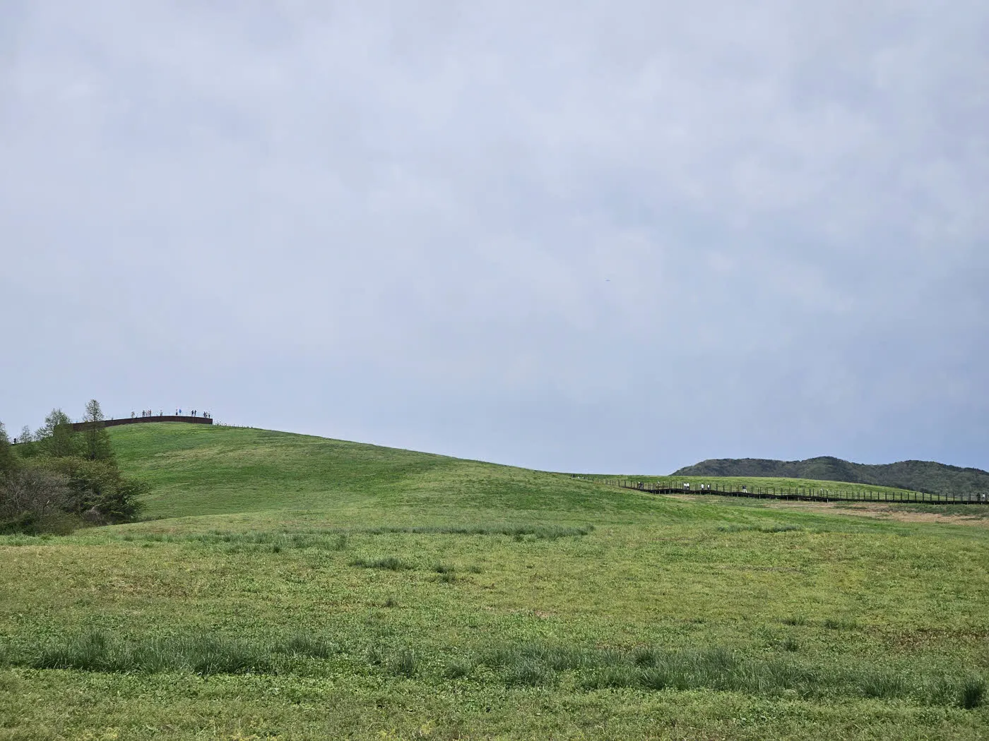서산 한우목장 풍경