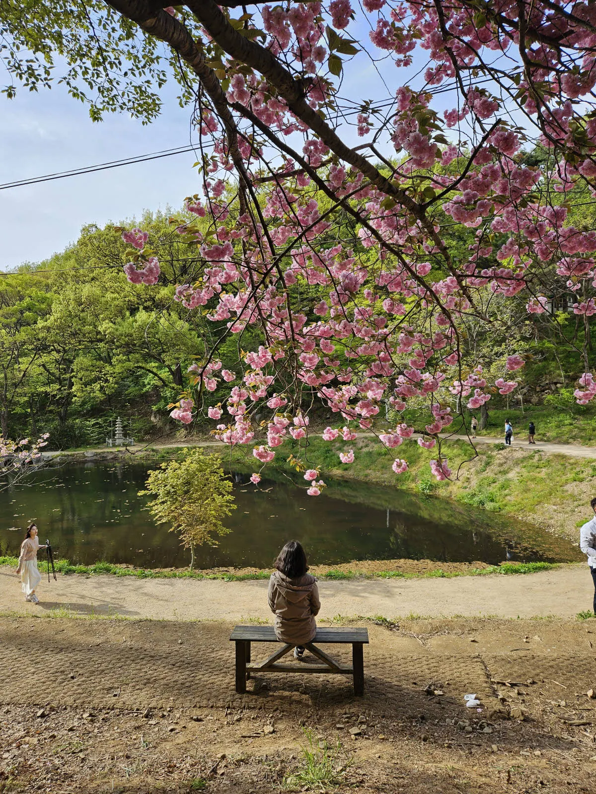 문수사 경내 포토스팟